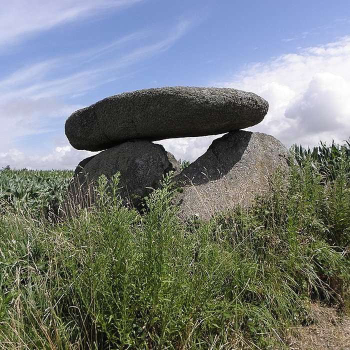 Photo de Dolmen de Mezou Poulyot à Porspoder