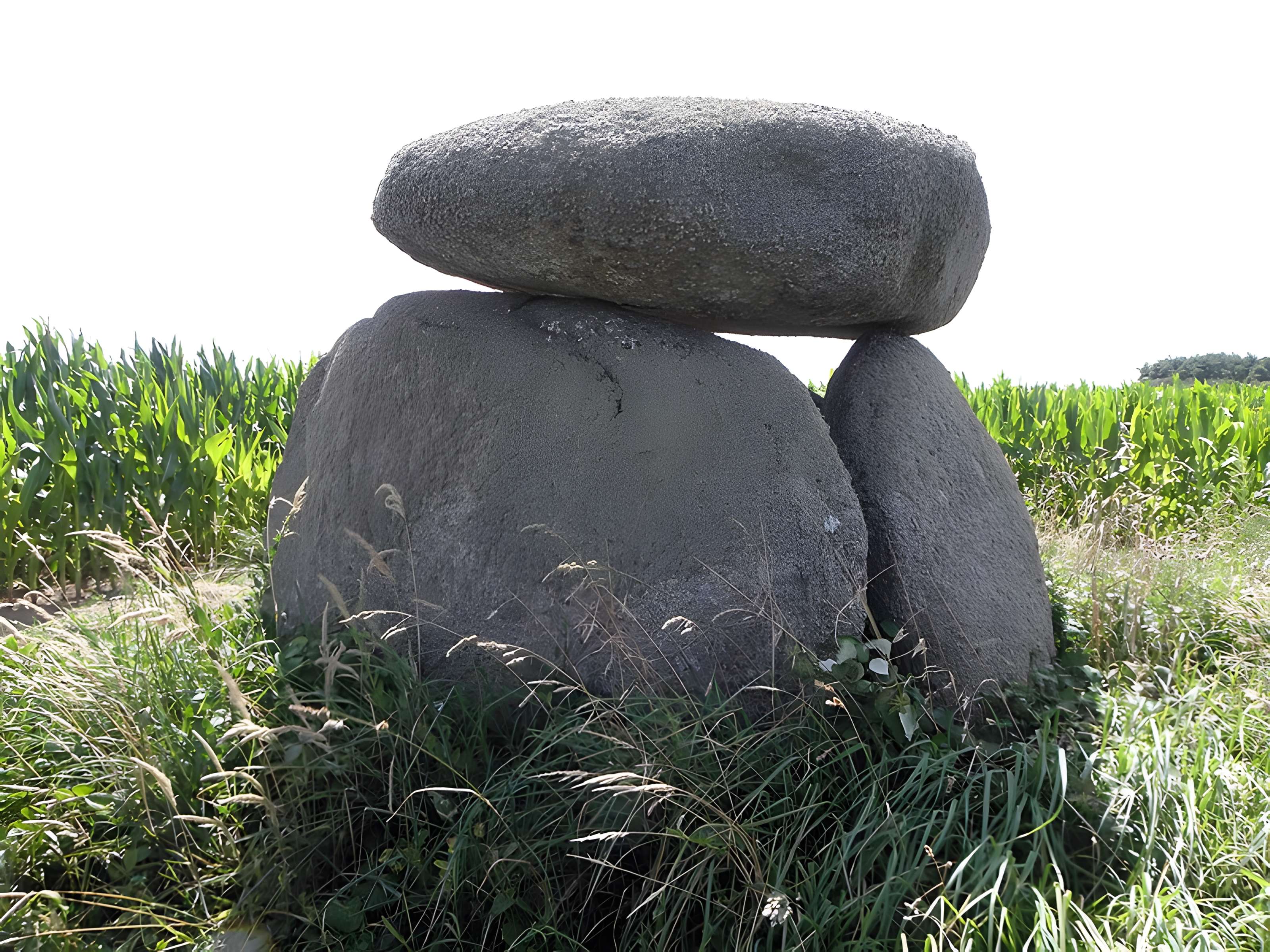 Dolmen de Mezou Poulyot à Porspoder