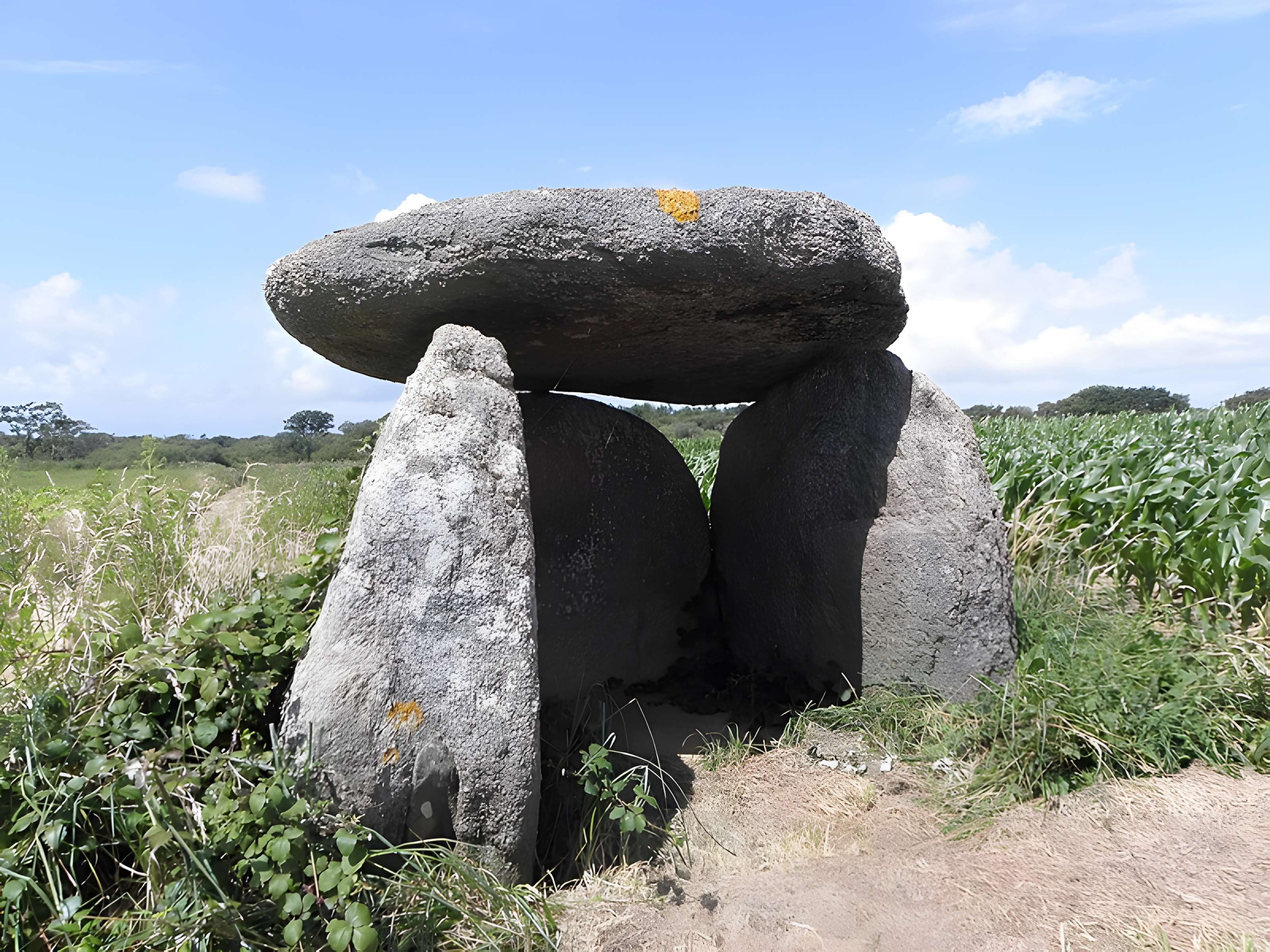 Dolmen de Mezou Poulyot à Porspoder