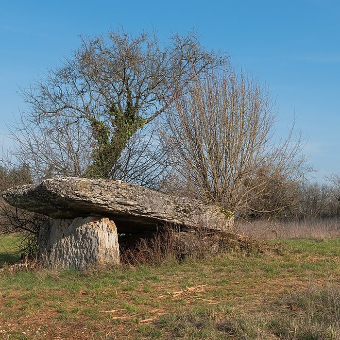 Photo de Dolmen de Pajot à Limogne-en-Quercy