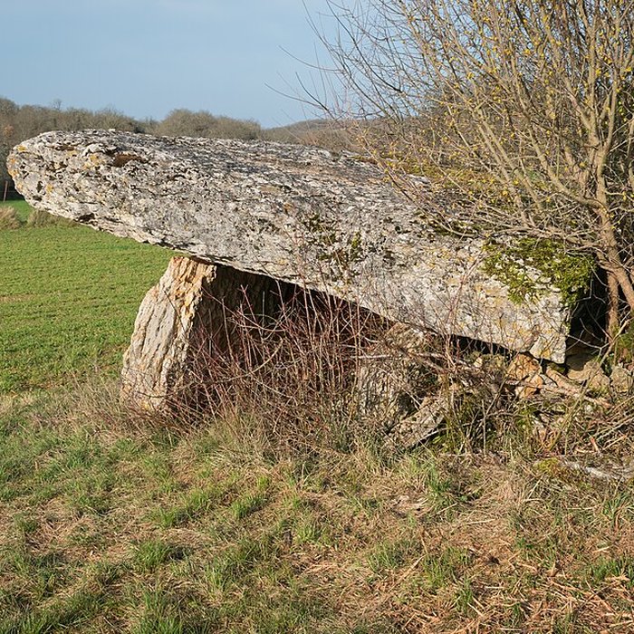 Photo de Dolmen de Pajot à Limogne-en-Quercy