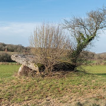 Dolmen de Pajot à Limogne-en-Quercy