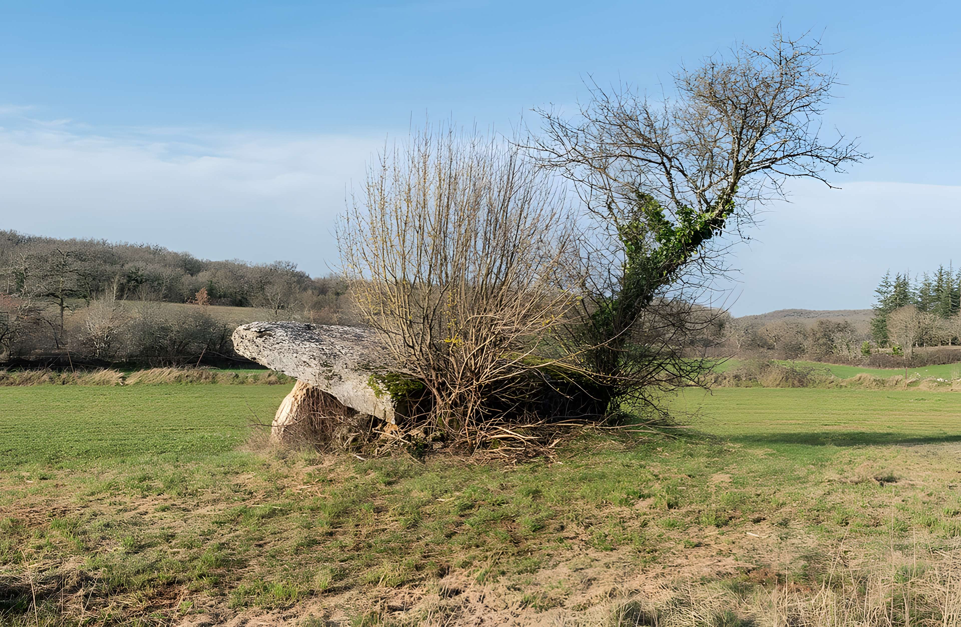 Dolmen de Pajot à Limogne-en-Quercy
