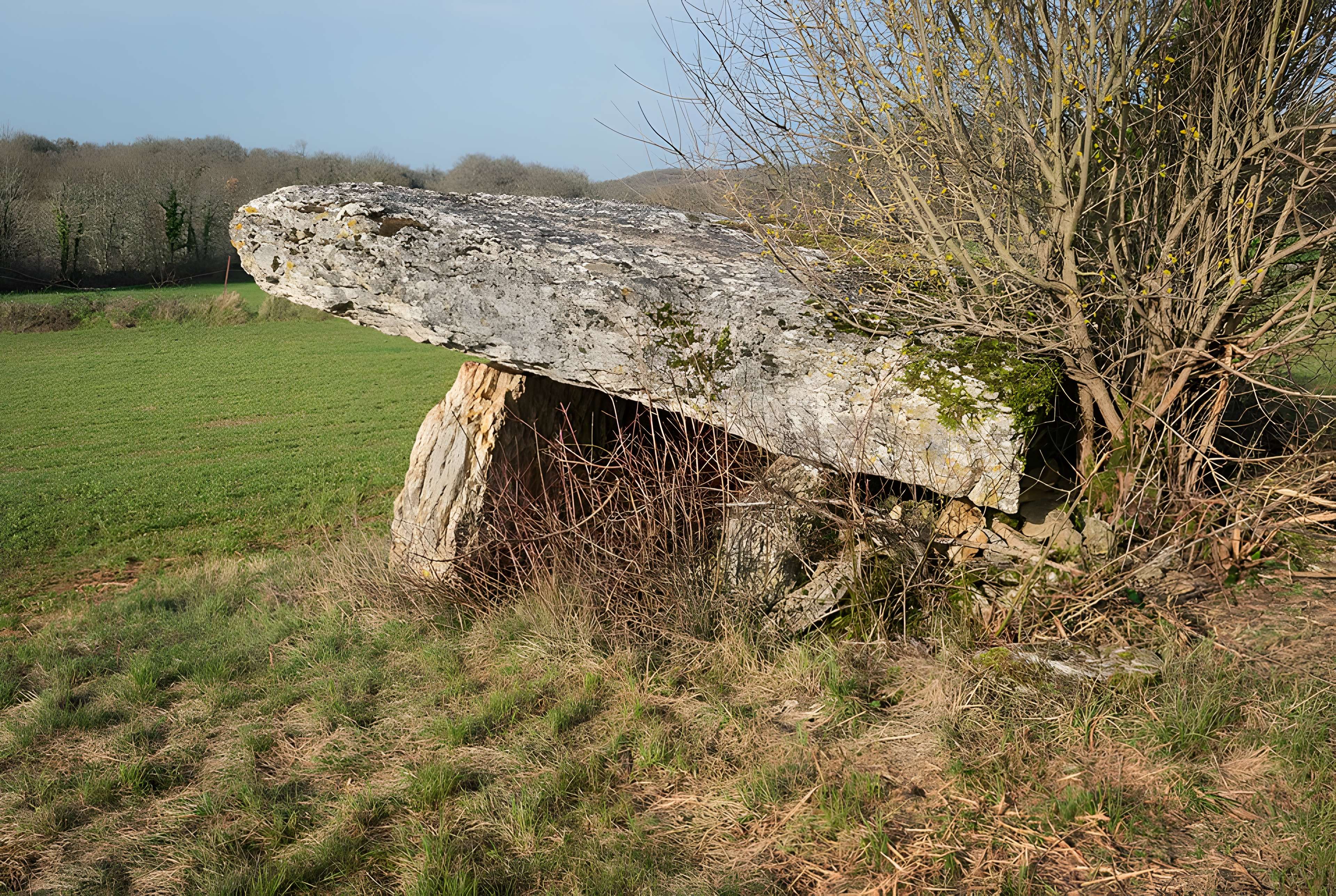 Dolmen de Pajot à Limogne-en-Quercy