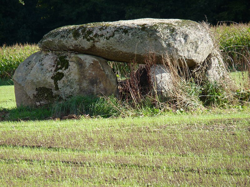 Photo de Dolmen de Pasquiou au Vieux-Bourg