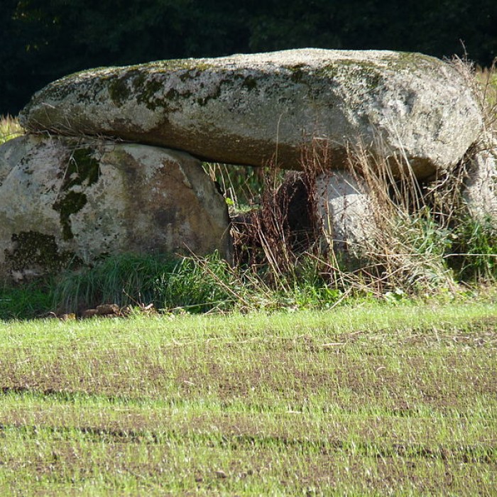 Photo de Dolmen de Pasquiou au Vieux-Bourg