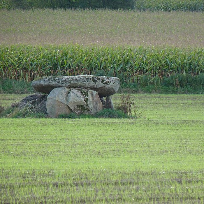 Photo de Dolmen de Pasquiou au Vieux-Bourg