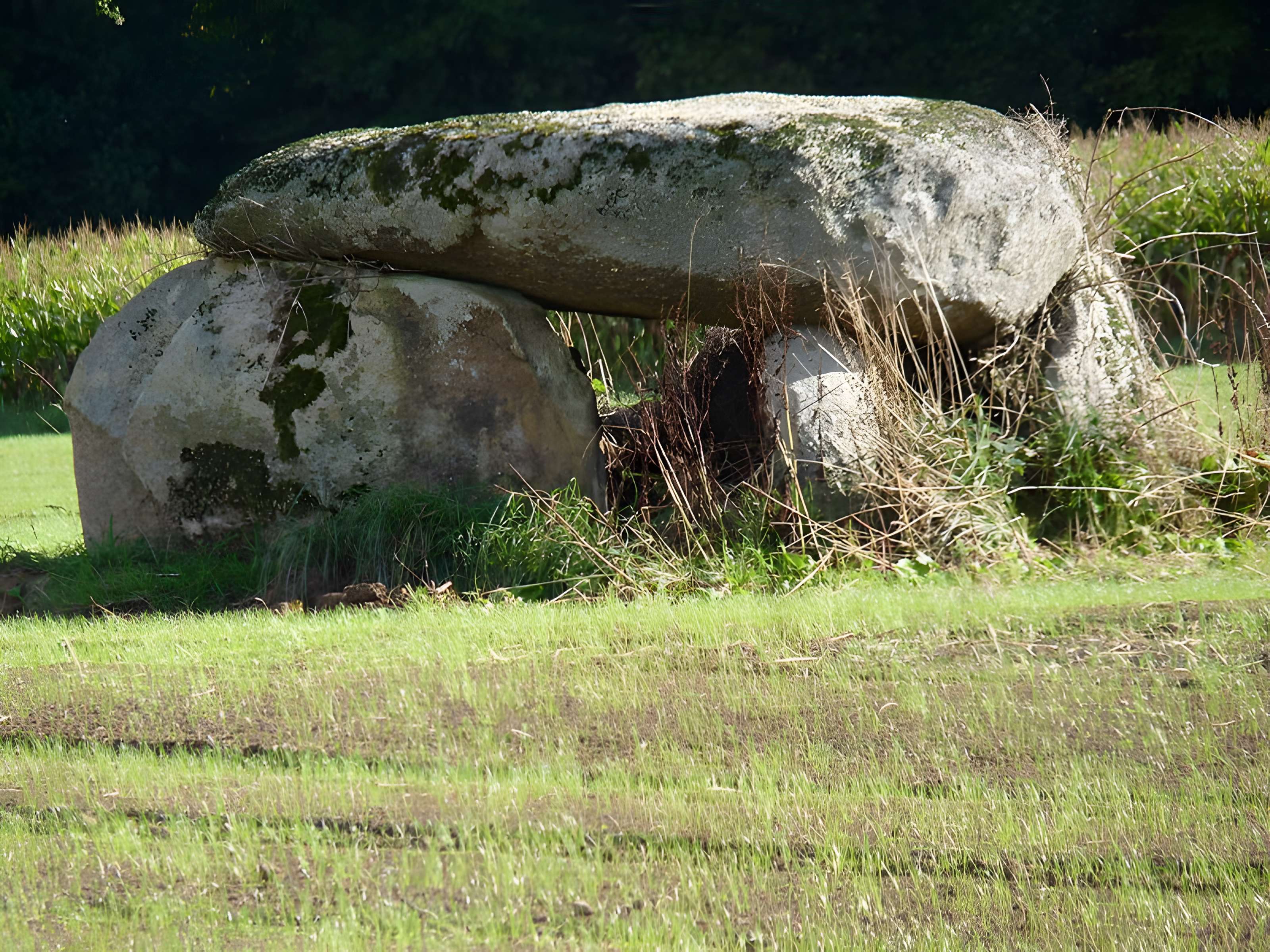Dolmen de Pasquiou au Vieux-Bourg 