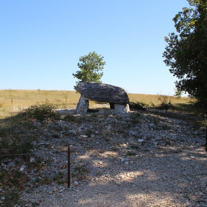 Photo de Dolmen de Pech Laglaire 2 à Gréalou