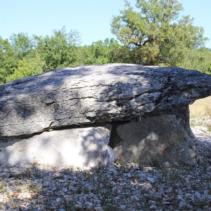 Photo de Dolmen de Pech Laglaire 2 à Gréalou