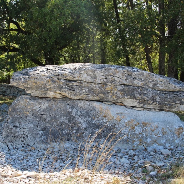 Photo de Dolmen de Pech Laglaire 2 à Gréalou