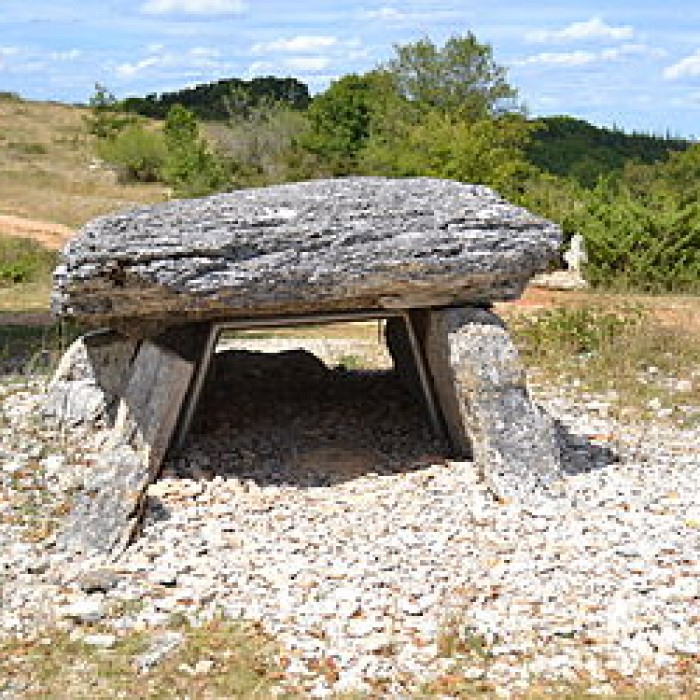 Photo de Dolmen de Pech Laglaire 2 à Gréalou