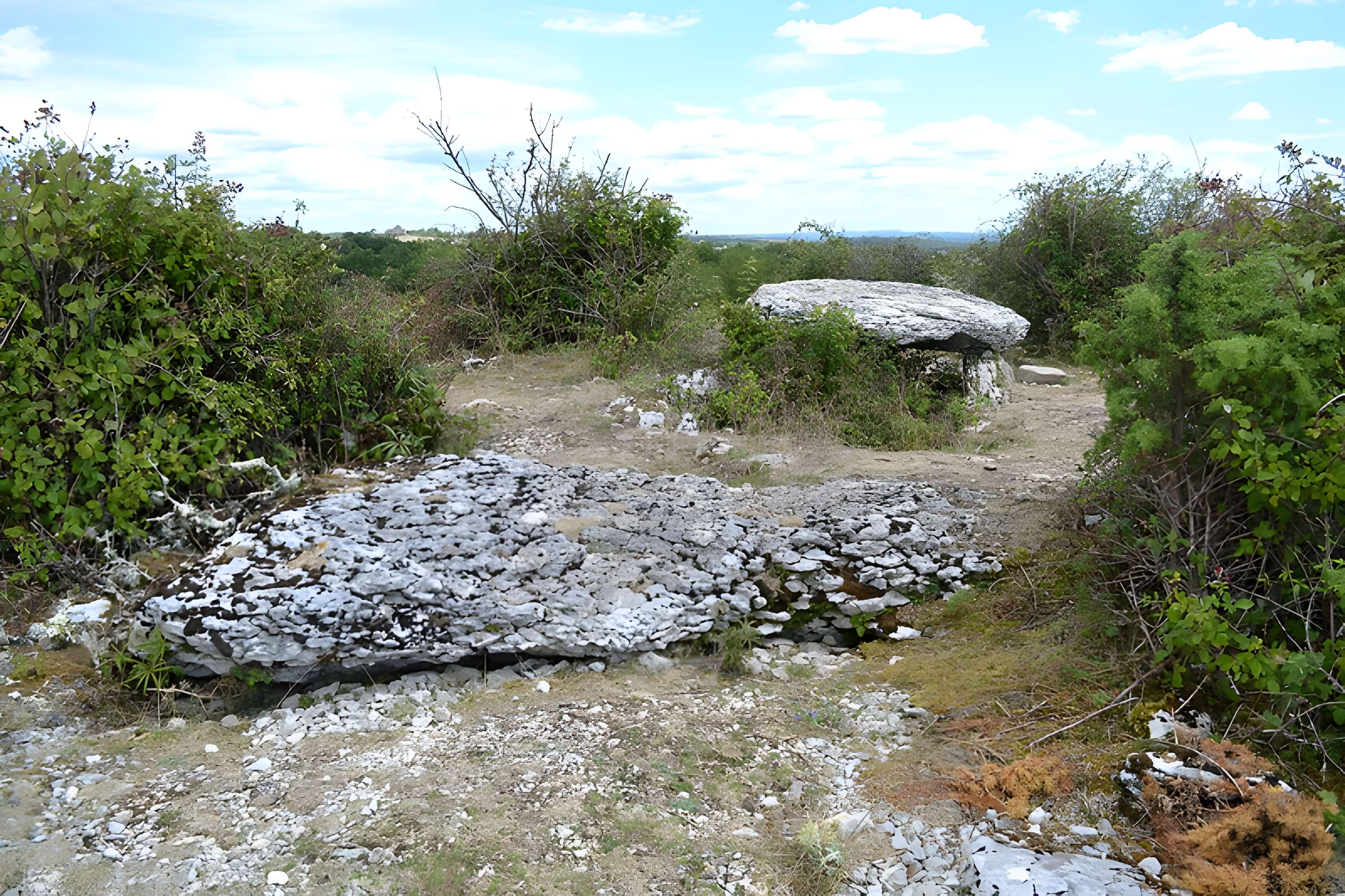 Dolmen de Pech Laglaire 2 à Gréalou