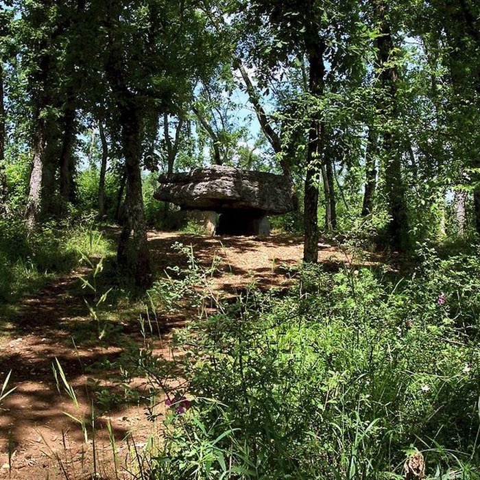 Photo de Dolmen de Pech-Lapeyre à Limogne-en-Quercy