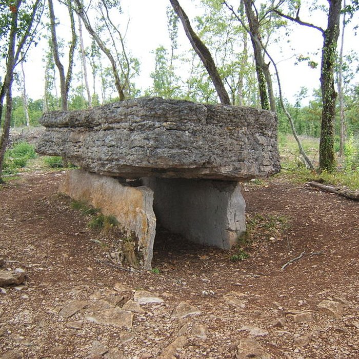 Photo de Dolmen de Pech-Lapeyre à Limogne-en-Quercy