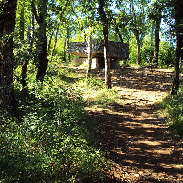 Photo de Dolmen de Pech-Lapeyre à Limogne-en-Quercy