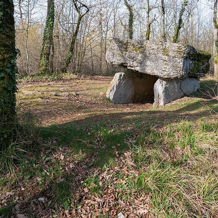 Photo de Dolmen de Pech-Lapeyre à Limogne-en-Quercy