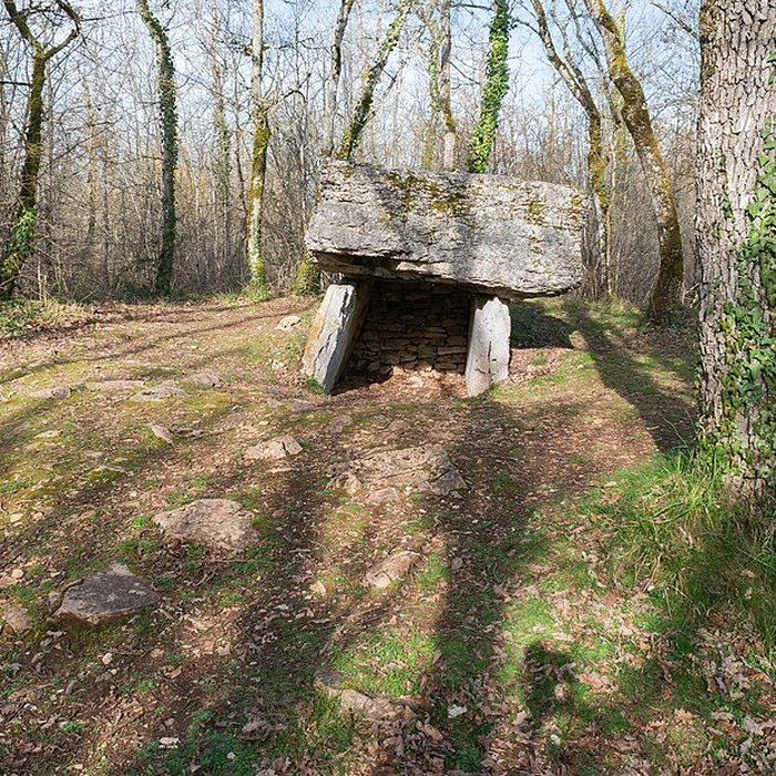 Photo de Dolmen de Pech-Lapeyre à Limogne-en-Quercy