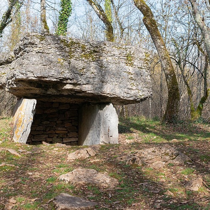 Photo de Dolmen de Pech-Lapeyre à Limogne-en-Quercy