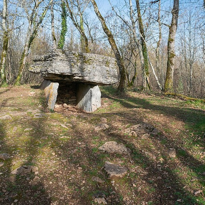 Photo de Dolmen de Pech-Lapeyre à Limogne-en-Quercy