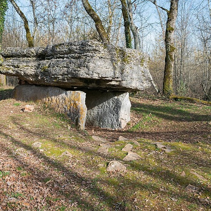 Photo de Dolmen de Pech-Lapeyre à Limogne-en-Quercy