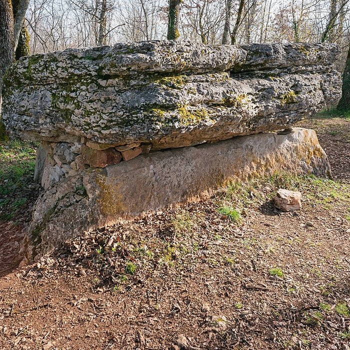 Photo de Dolmen de Pech-Lapeyre à Limogne-en-Quercy