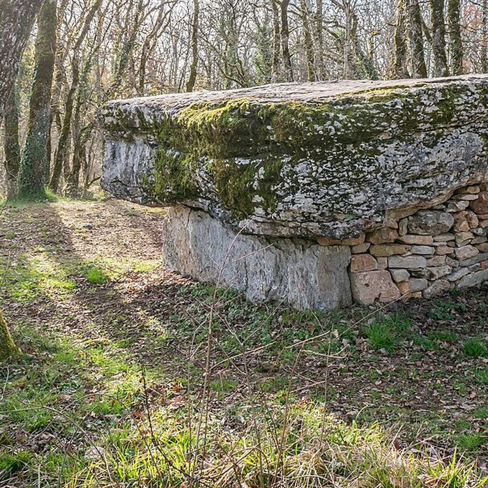 Photo de Dolmen de Pech-Lapeyre à Limogne-en-Quercy