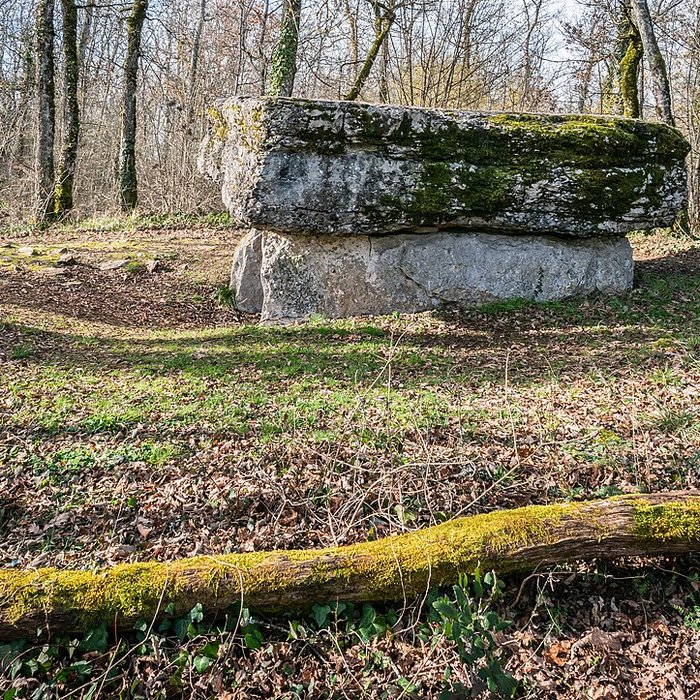 Photo de Dolmen de Pech-Lapeyre à Limogne-en-Quercy