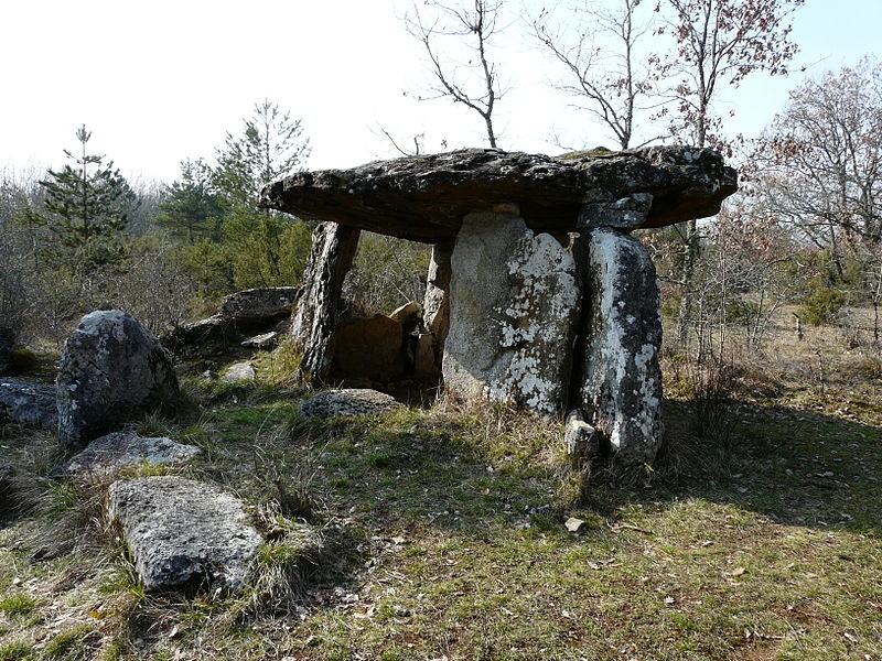 Photo de Dolmen de Peyrelevade à Paussac-et-Saint-Vivien