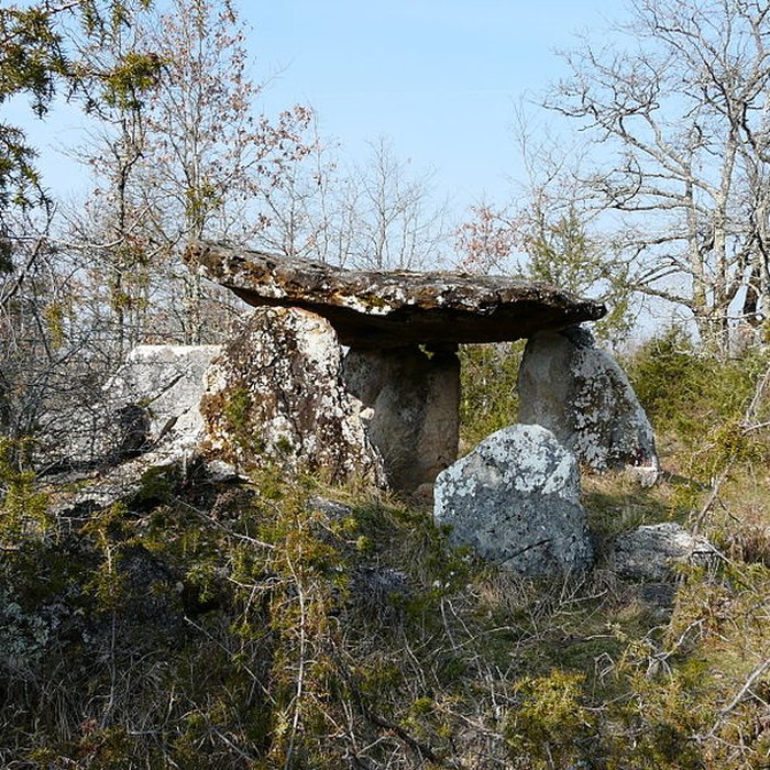 Photo de Dolmen de Peyrelevade à Paussac-et-Saint-Vivien