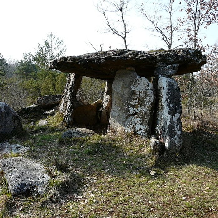 Photo de Dolmen de Peyrelevade à Paussac-et-Saint-Vivien