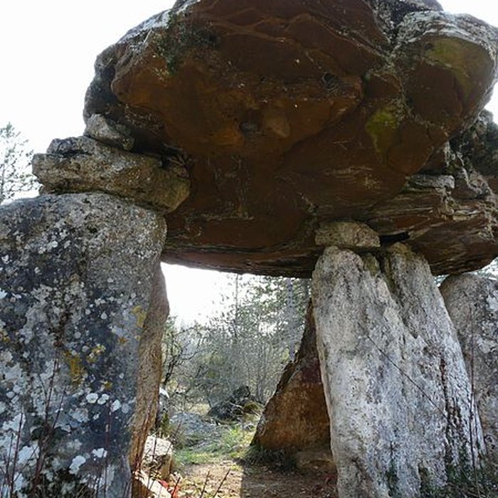Photo de Dolmen de Peyrelevade à Paussac-et-Saint-Vivien