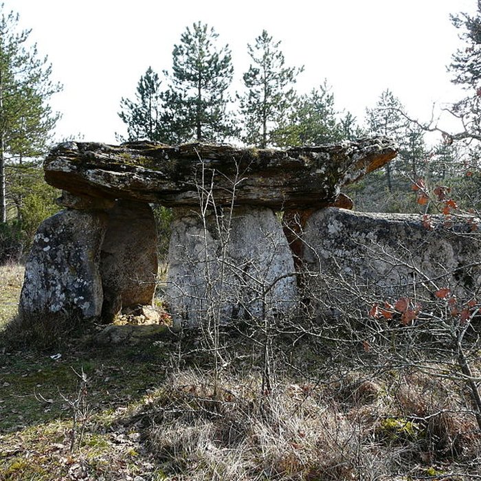 Photo de Dolmen de Peyrelevade à Paussac-et-Saint-Vivien