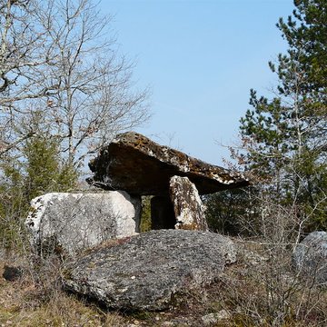 Dolmen de Peyrelevade à Paussac-et-Saint-Vivien