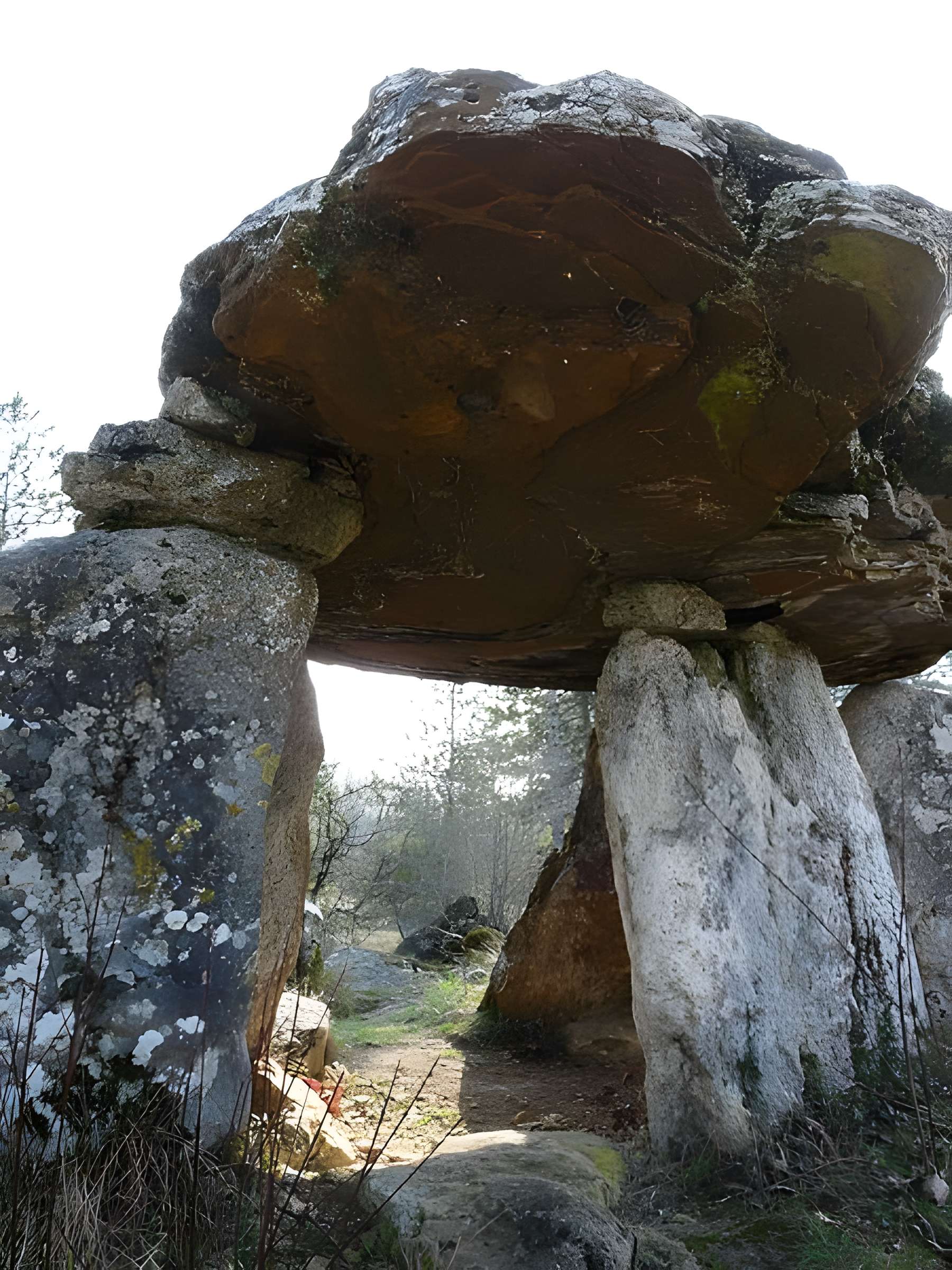 Dolmen de Peyrelevade à Paussac-et-Saint-Vivien