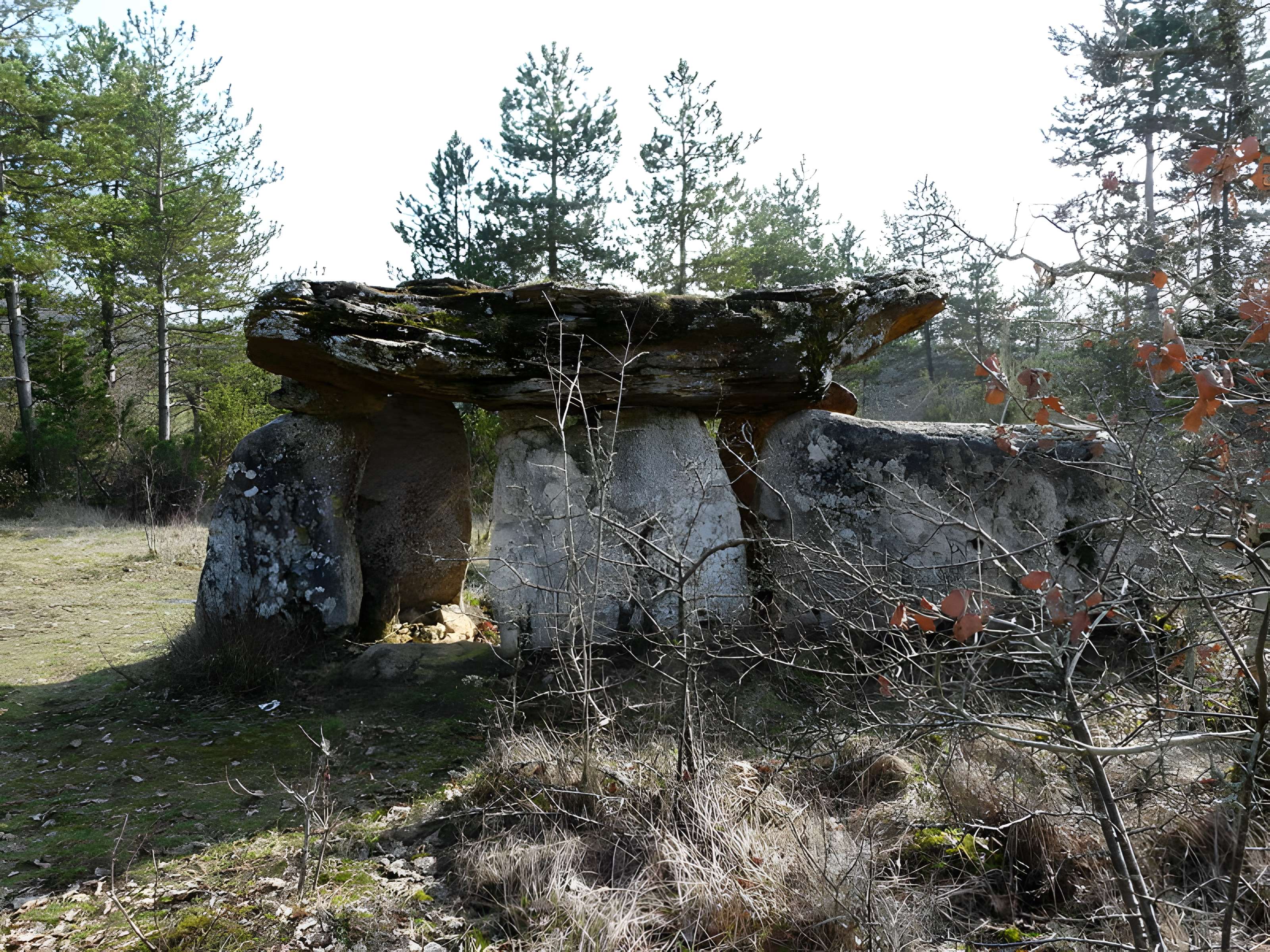 Dolmen de Peyrelevade à Paussac-et-Saint-Vivien
