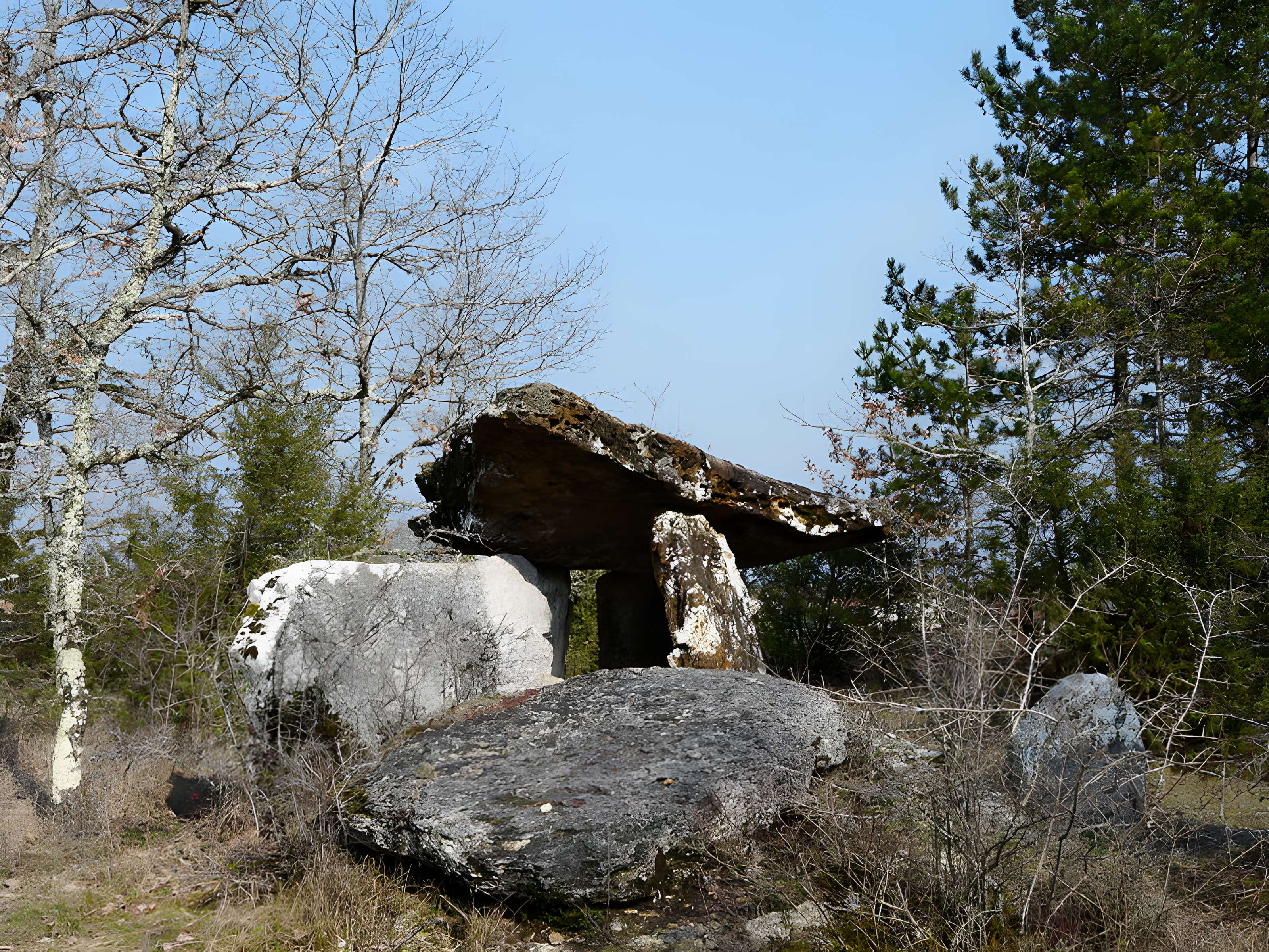 Dolmen de Peyrelevade à Paussac-et-Saint-Vivien