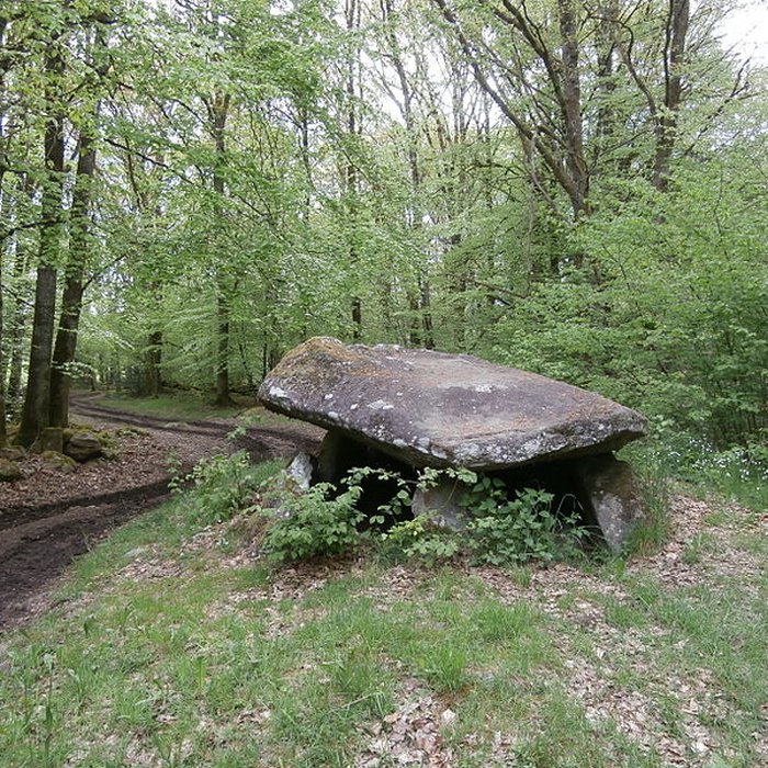 Photo de Dolmen de Ponsat à Saint-Georges-la-Pouge