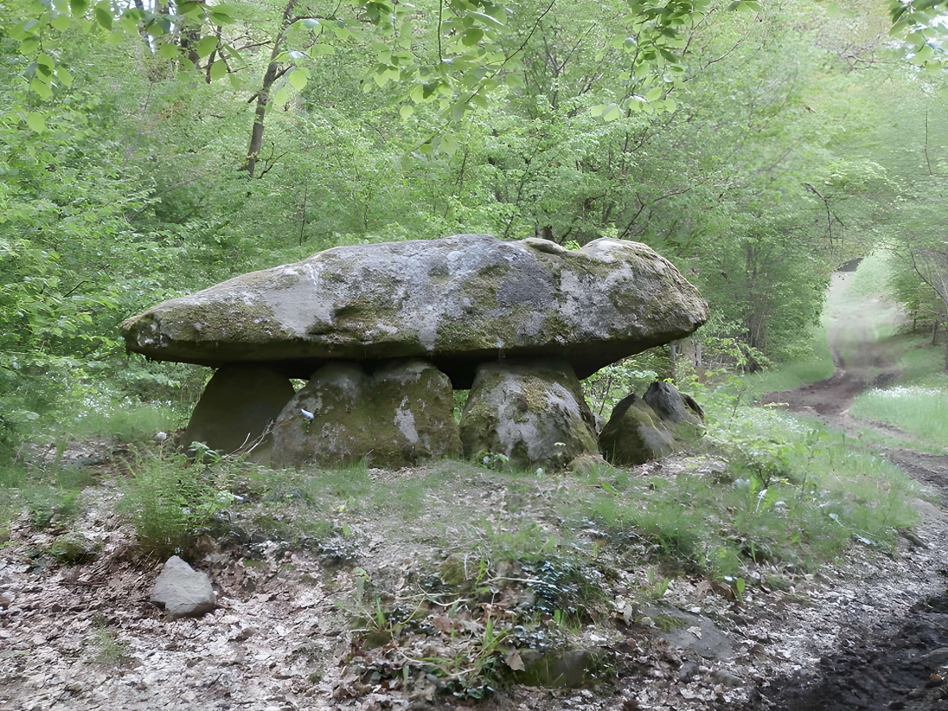 Dolmen de Ponsat à Saint-Georges-la-Pouge 