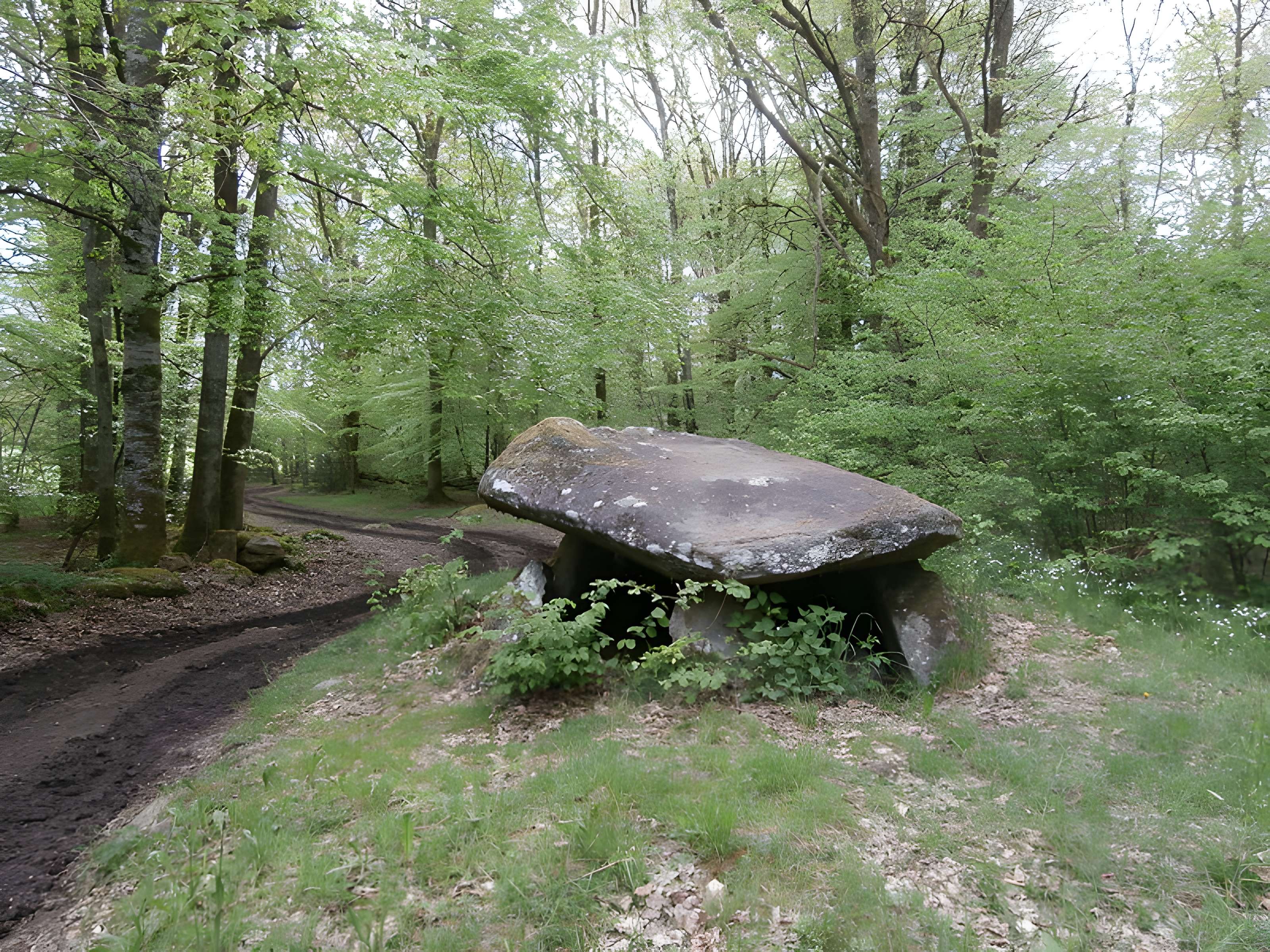 Dolmen de Ponsat à Saint-Georges-la-Pouge