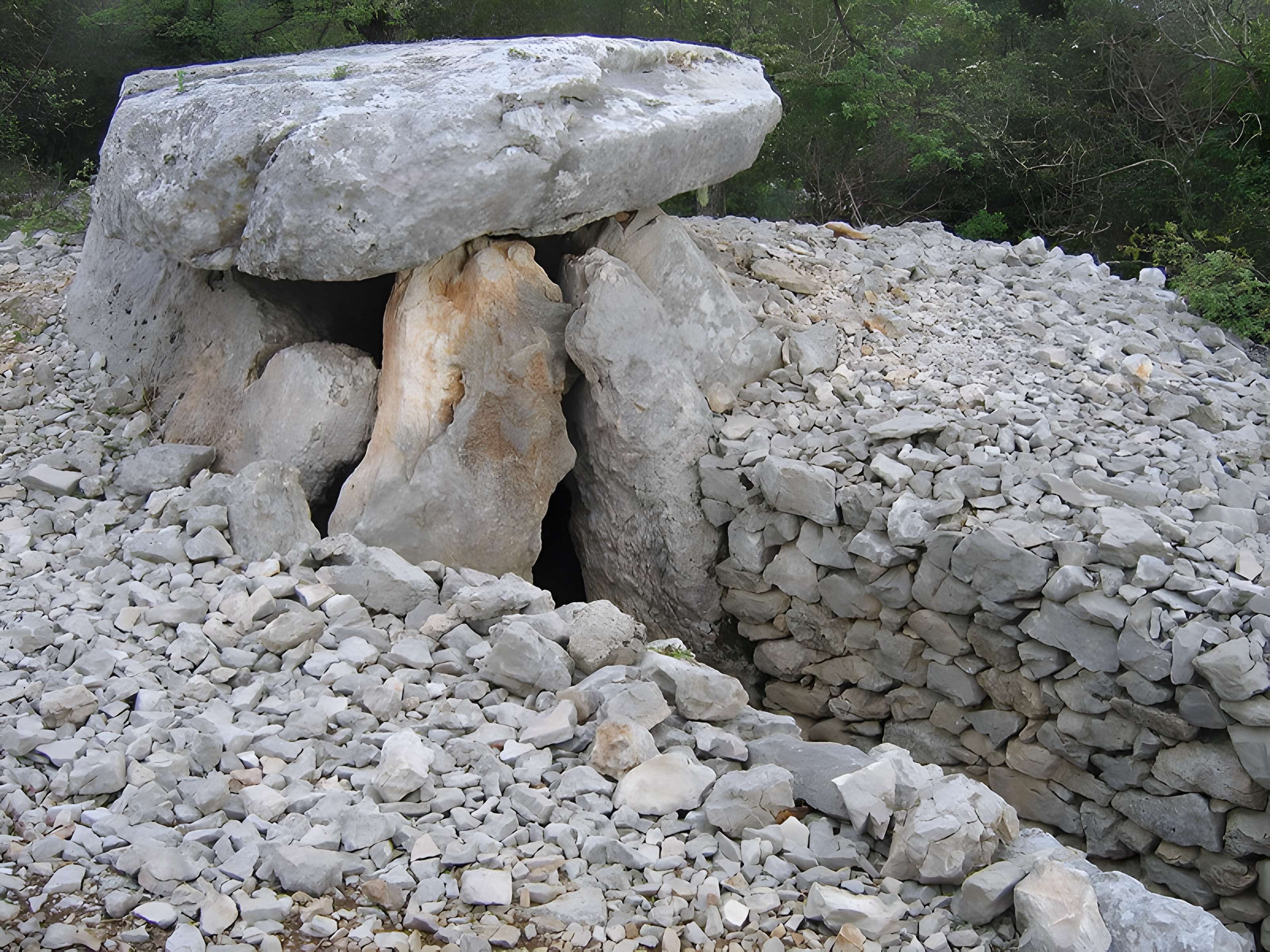 Dolmen de Rascassols à Saint-Hippolyte-du-Fort 