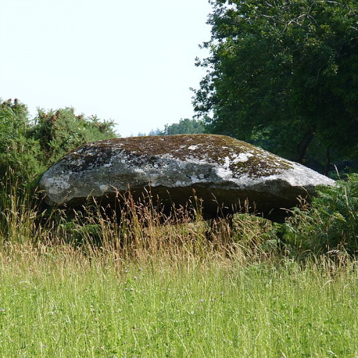 Photo de Dolmen de Roch Du à Maël-Pestivien