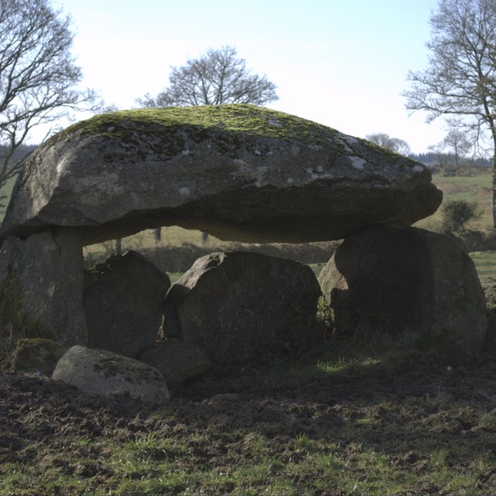 Photo de Dolmen de Roch Du à Maël-Pestivien