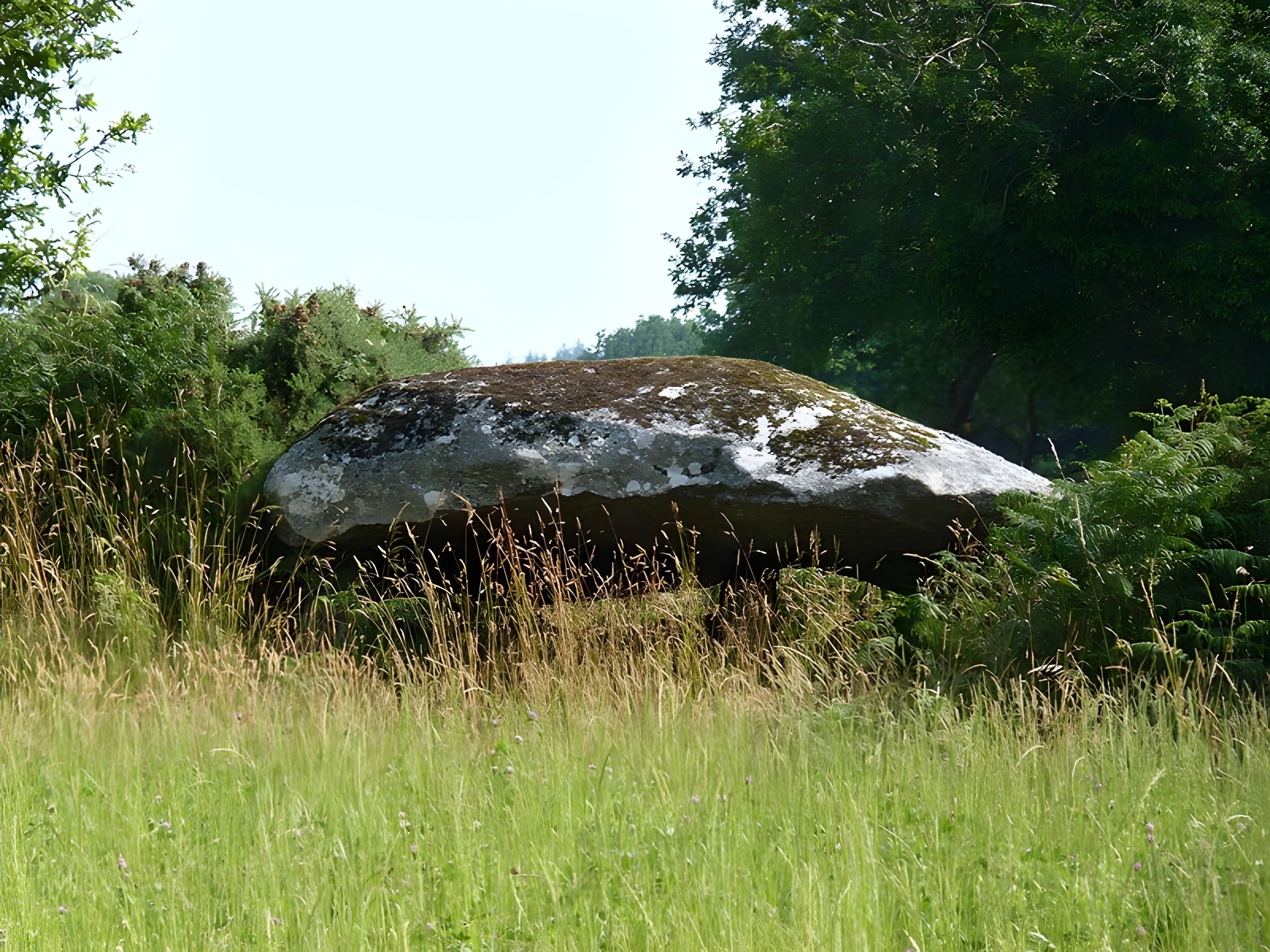 Dolmen de Roc'h Du à Maël-Pestivien 