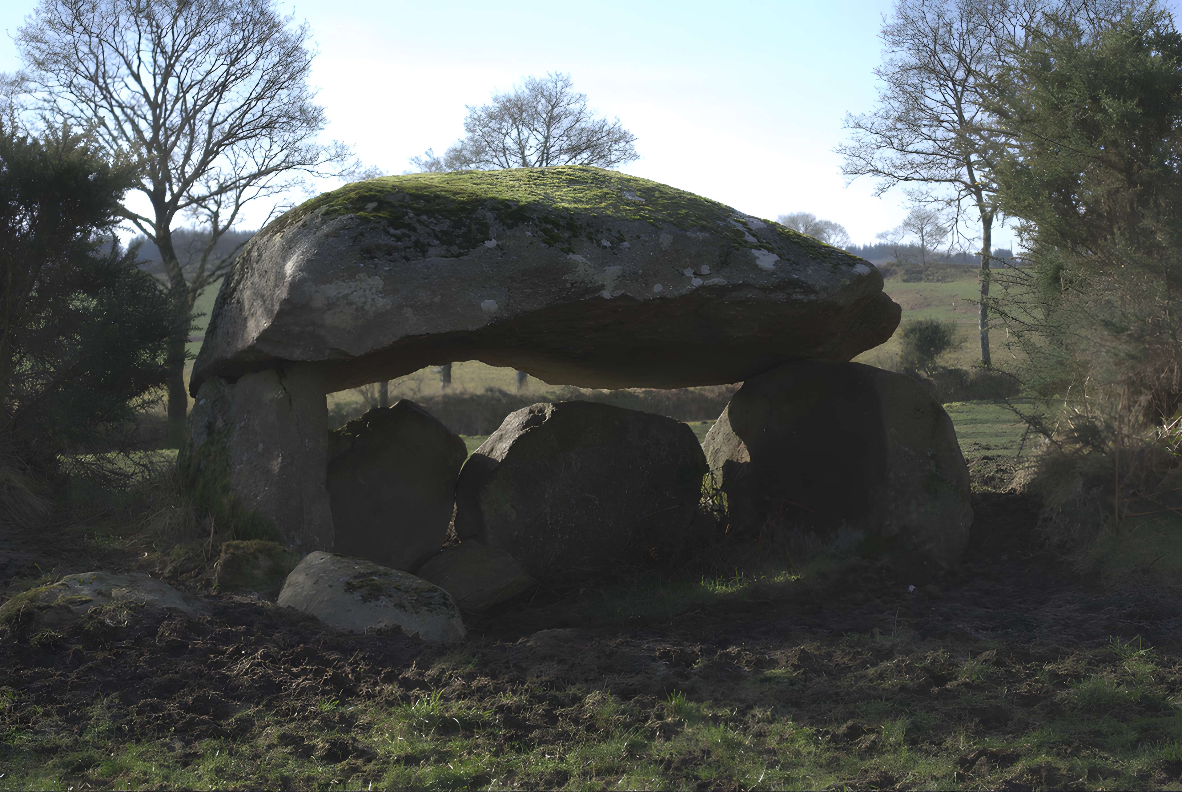 Dolmen de Roc'h Du à Maël-Pestivien