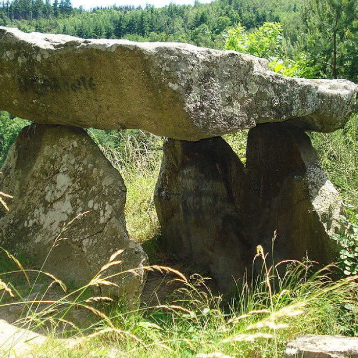 Photo de Dolmen de Roche-Cubertelle à Luriecq
