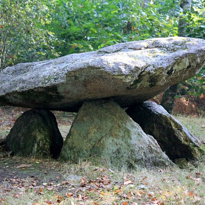 Photo de Dolmen de Rode à La Chapelle-Neuve