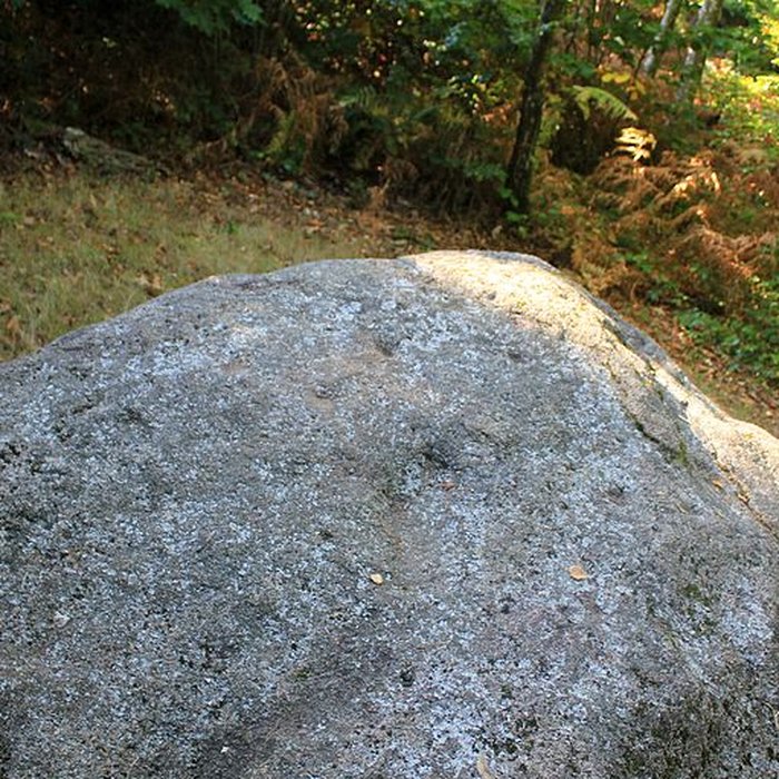 Photo de Dolmen de Rode à La Chapelle-Neuve