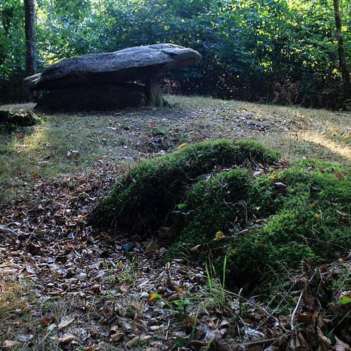 Photo de Dolmen de Rode à La Chapelle-Neuve