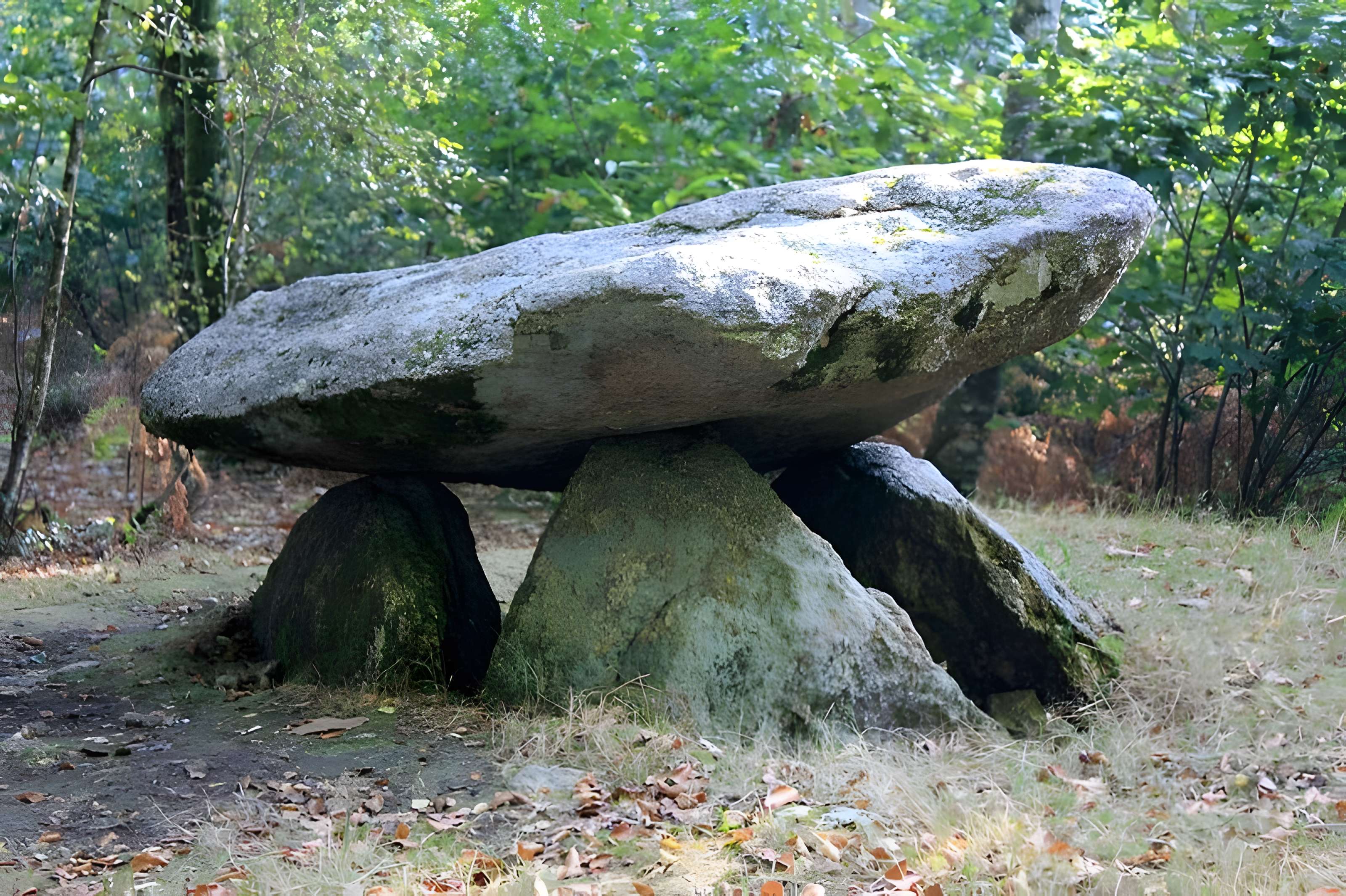 Dolmen de Rode à La Chapelle-Neuve 